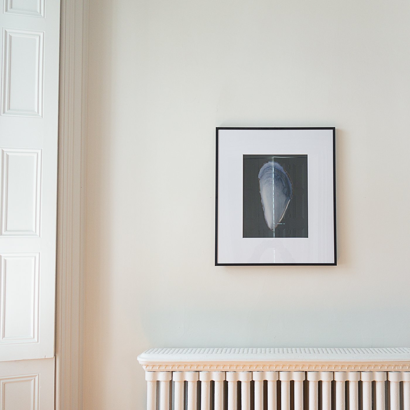 Mussel Shell Limited Edition Print