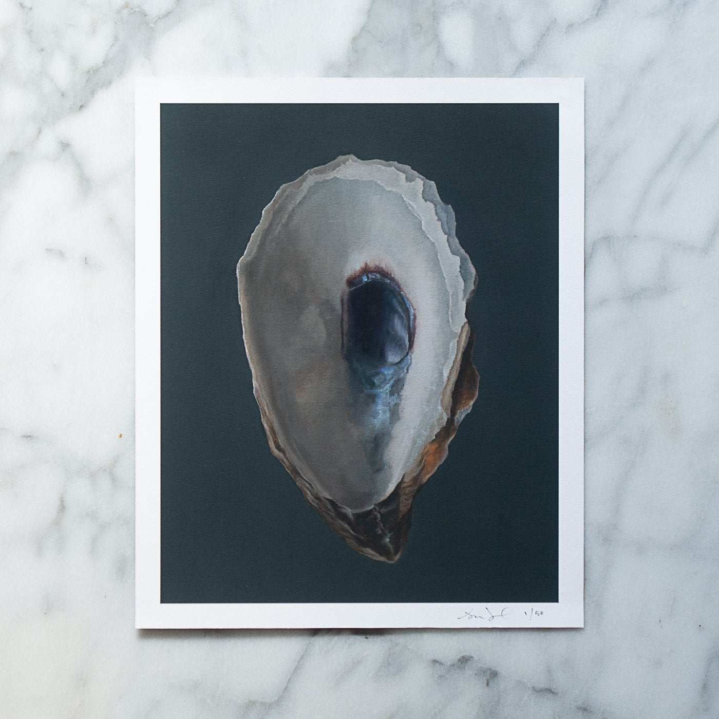 Oyster Shell No. 3 Limited Edition Print