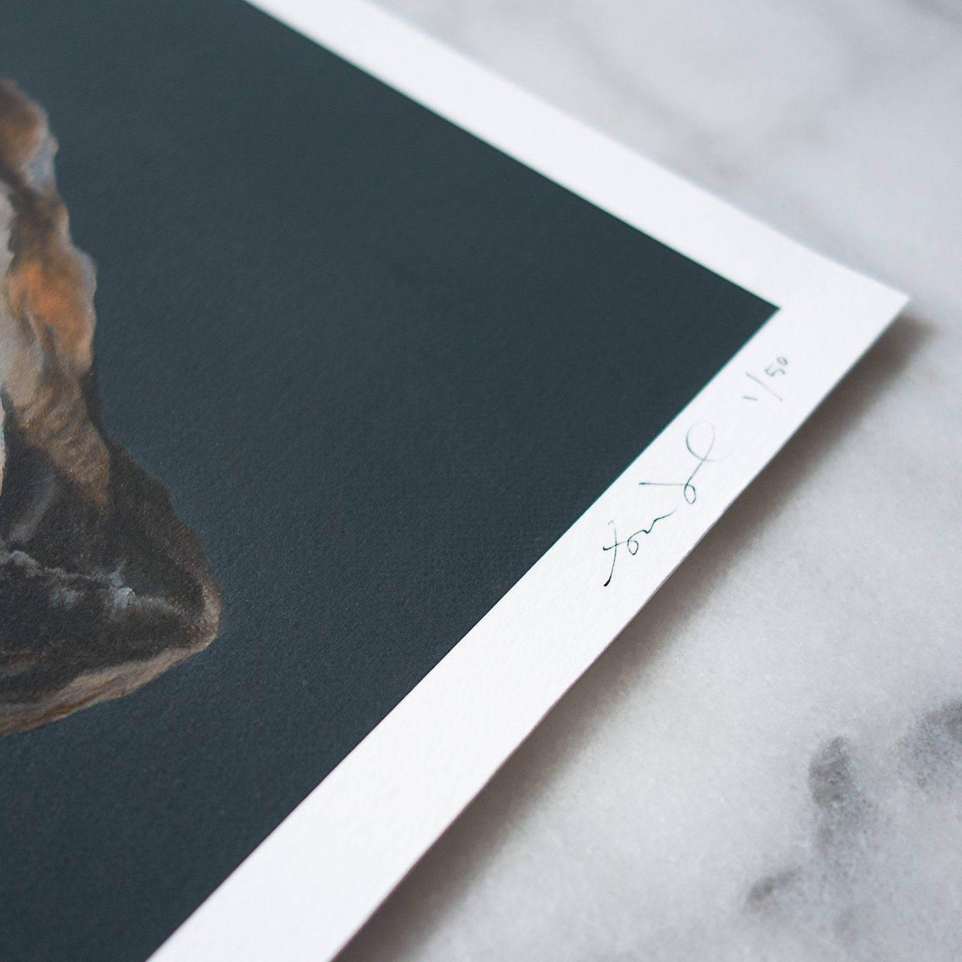 Set of 2 Shell Limited Edition Prints | Mussel Shell & Light Clam Shell No. 2