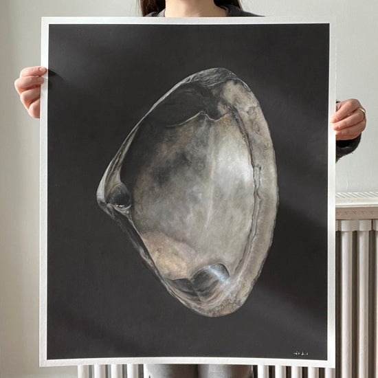 Load image into Gallery viewer, &amp;#39;Quahog Shell&amp;#39; Limited Edition Print
