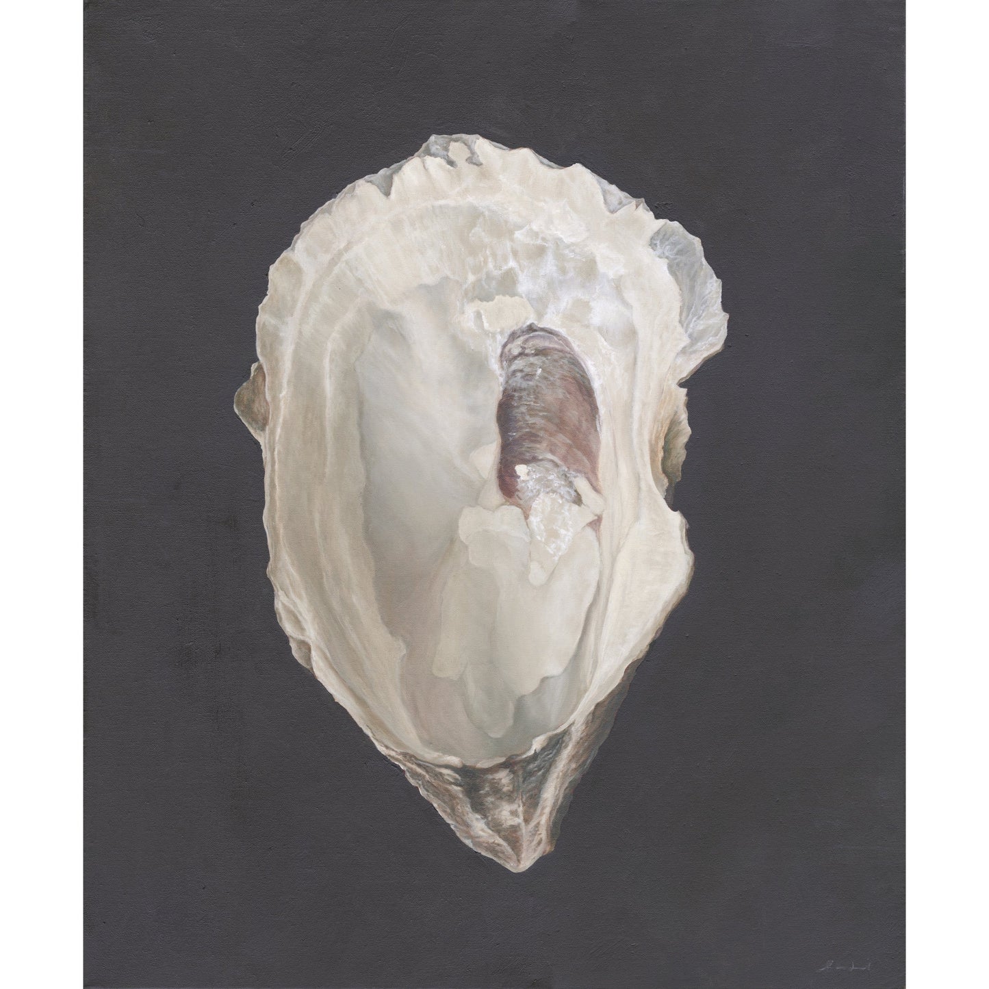 'Oyster Shell' Limited Edition Print