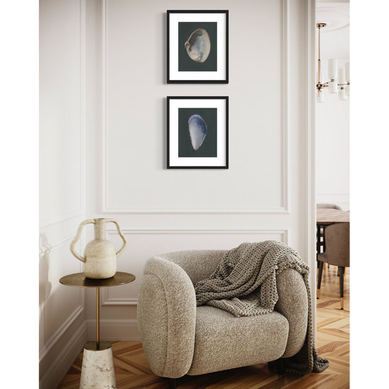 Set of 2 Shell Limited Edition Prints | Mussel Shell & Light Clam Shell No. 2