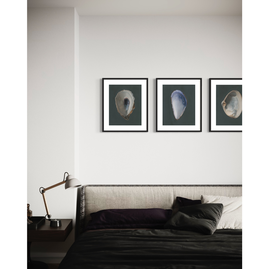 Set of 3 Shell Limited Edition Prints